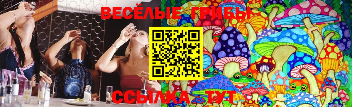 Подольск  Галлюциногенные грибы Psilocybe  Галлюциногенные грибы ЛСД  Вход с VPN 